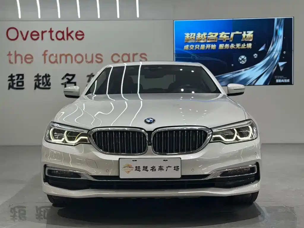 BMW 5 Series 5 2019 530Li Premium Luxury