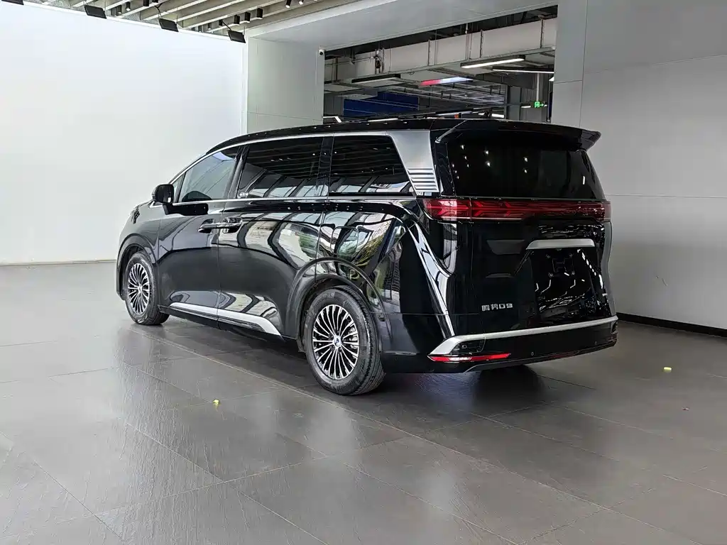 Denza Denza D9 — миниатюра 20