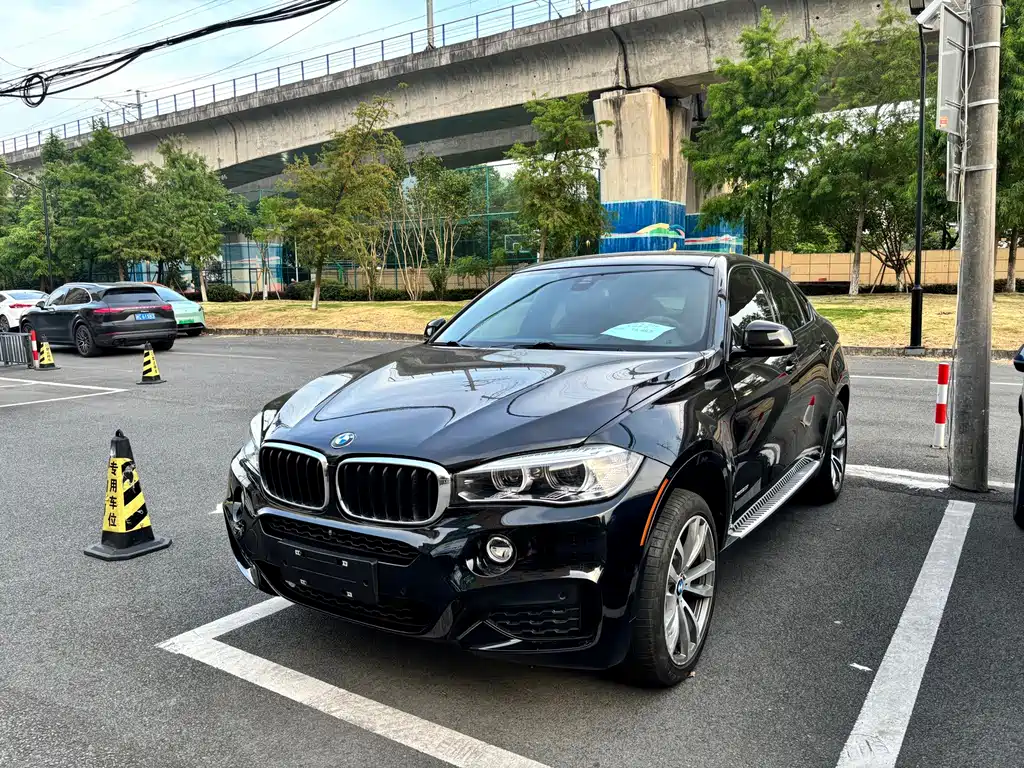 BMW X6 — миниатюра 3