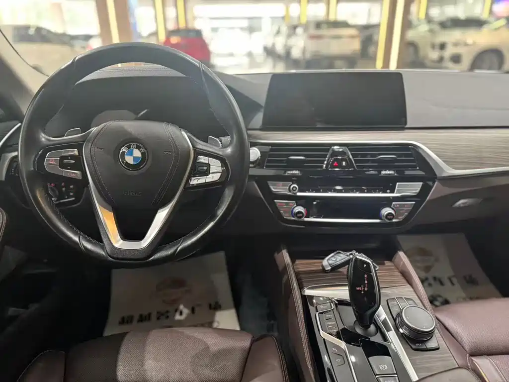 BMW 5 Series 5 2019 530Li Premium Luxury