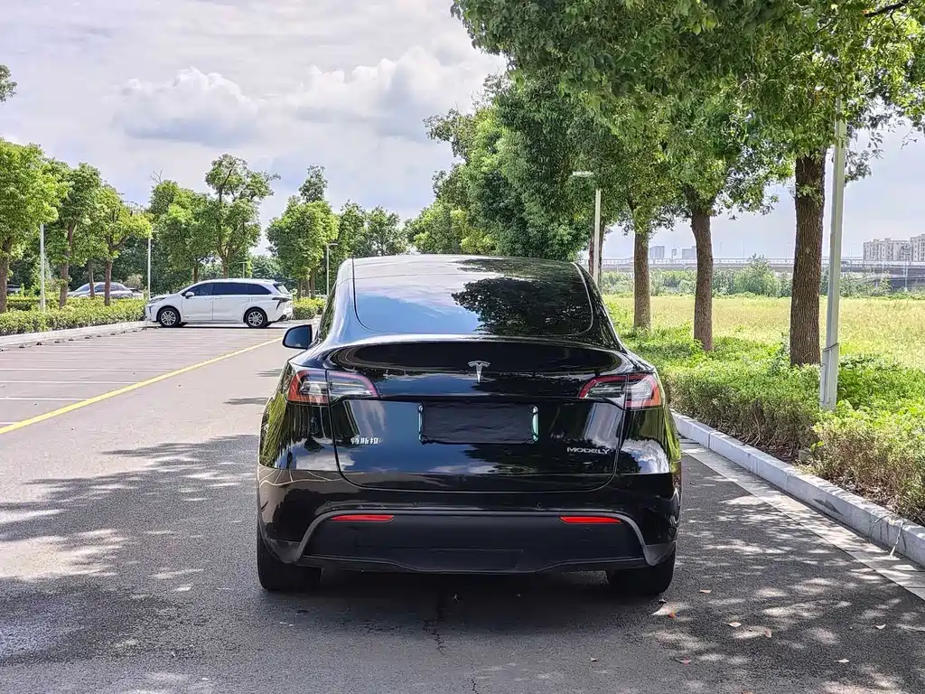 Tesla Model Y — миниатюра 6