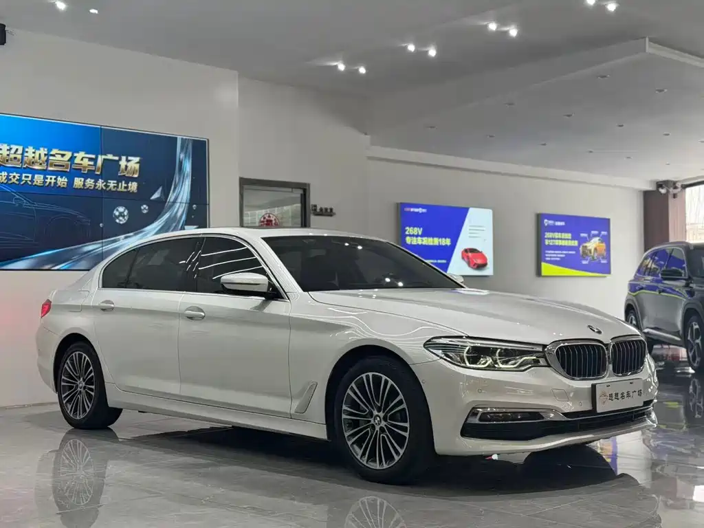 BMW 5 Series 5 2019 530Li Premium Luxury
