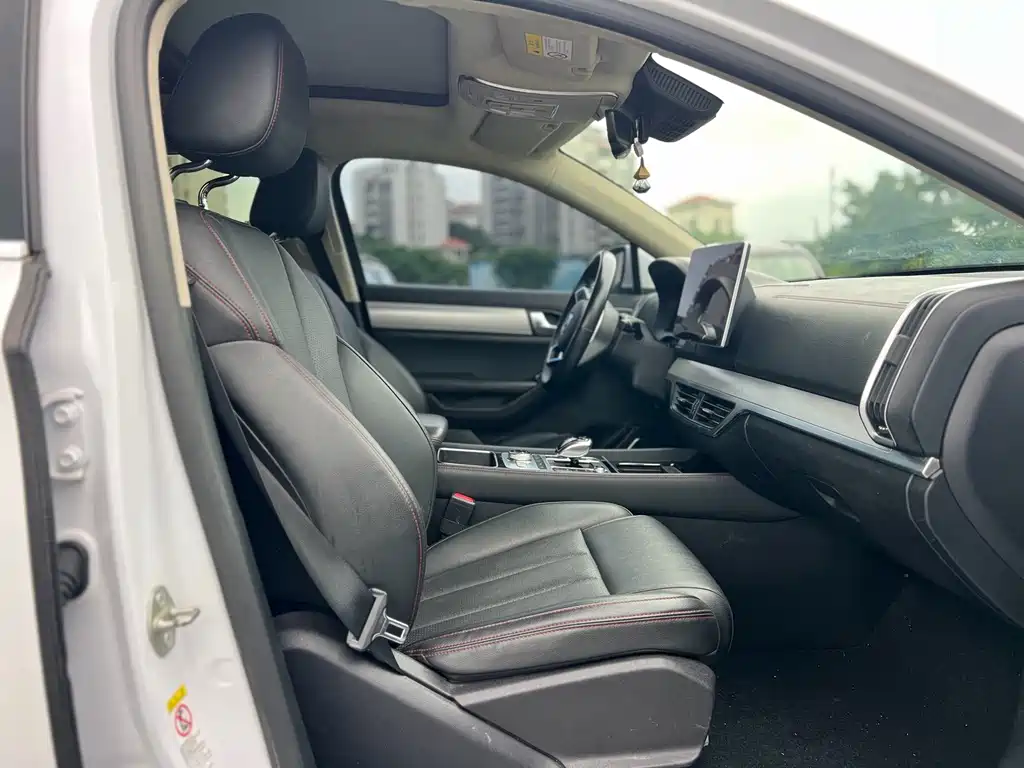 BYD Tang New Energy — миниатюра 8