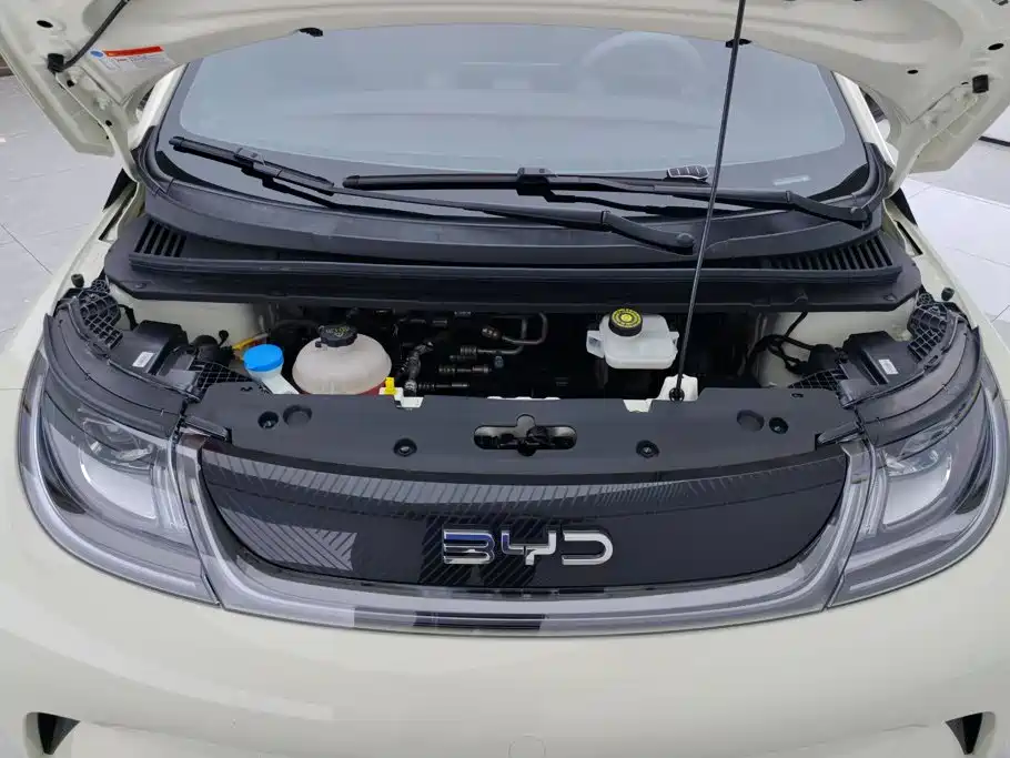 BYD Dolphin — миниатюра 10