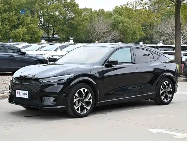 FORD ELECTRIC HORSE 2022