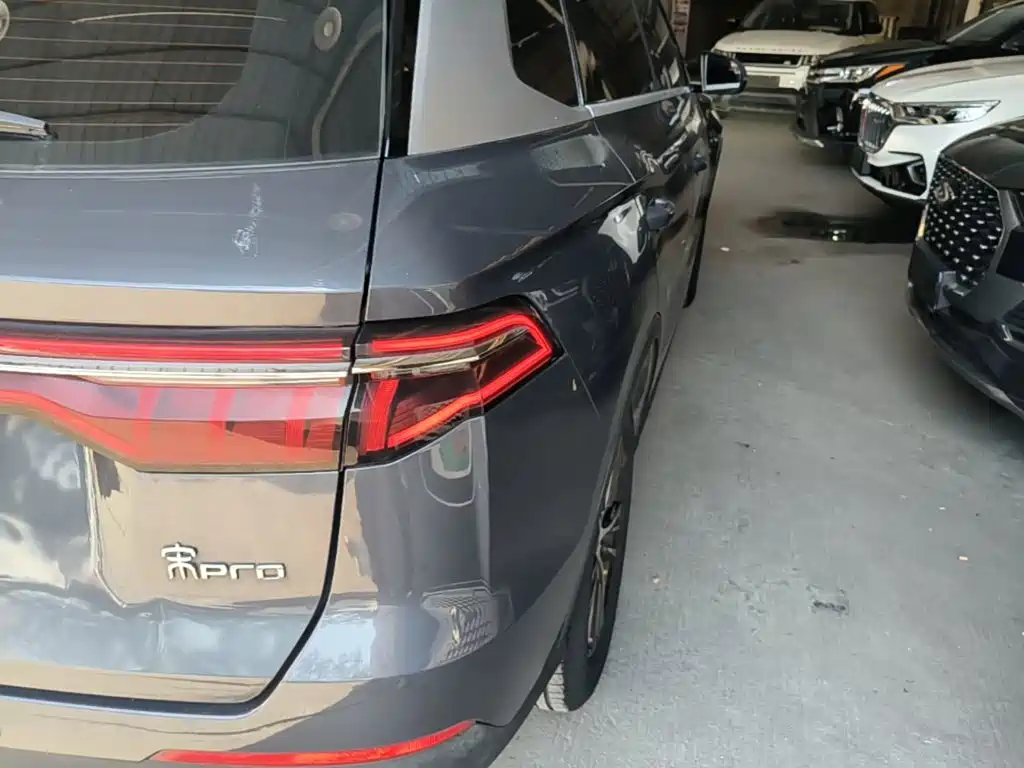 BYD Pro — миниатюра 8
