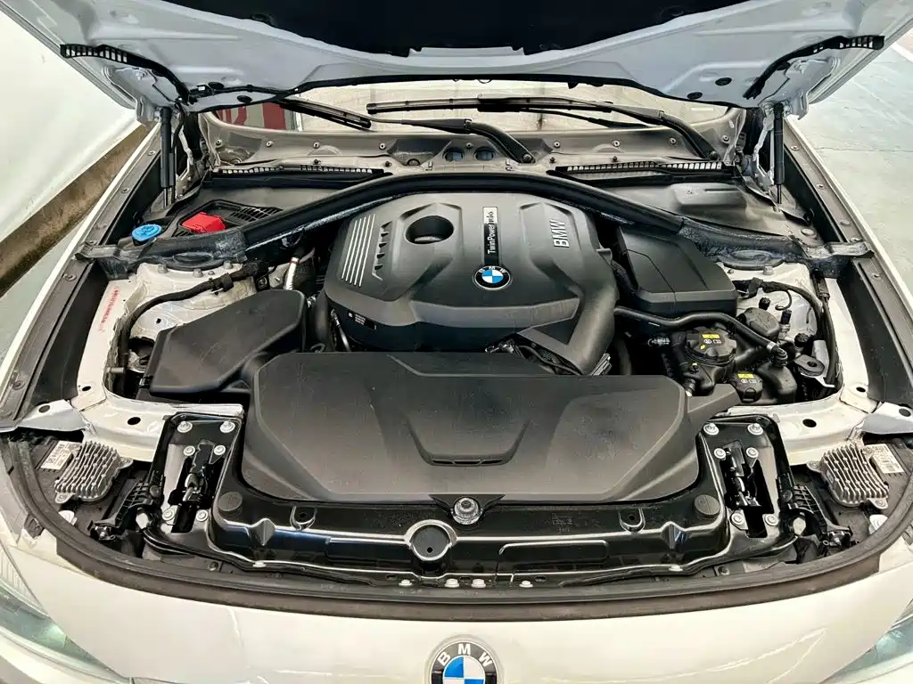 BMW 3 Series GT — миниатюра 18
