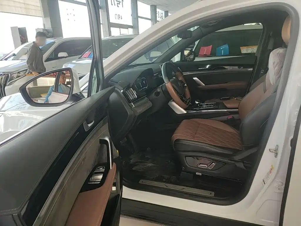 BYD Tang New Energy — миниатюра 16