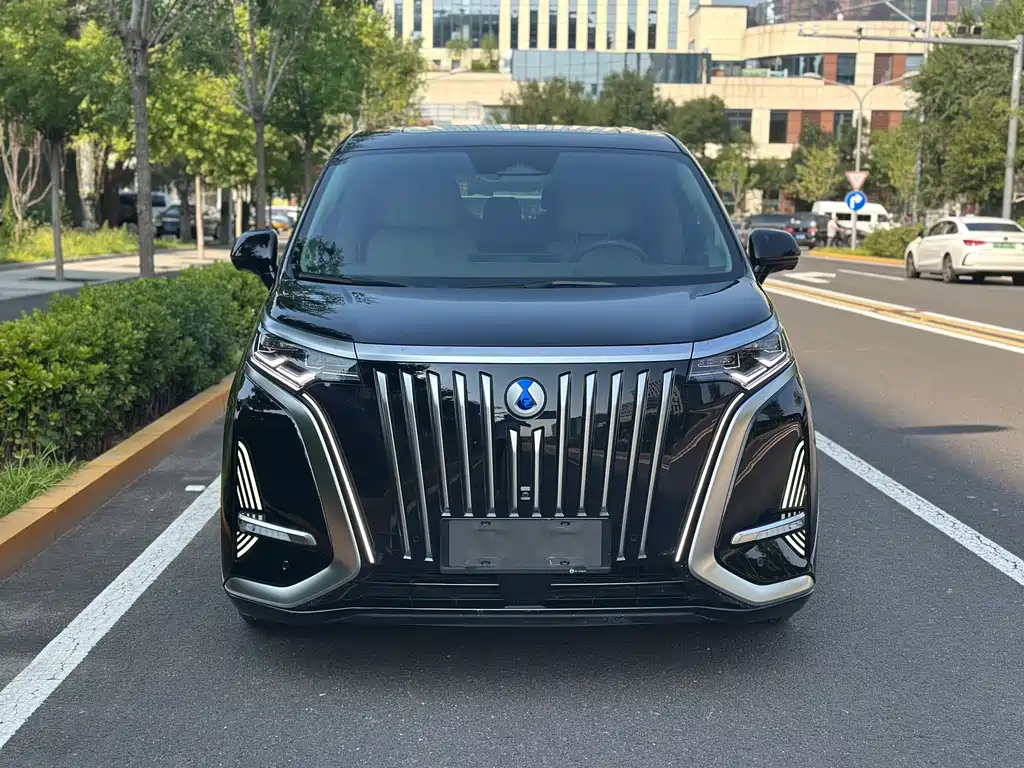 Denza Denza D9 — миниатюра 2