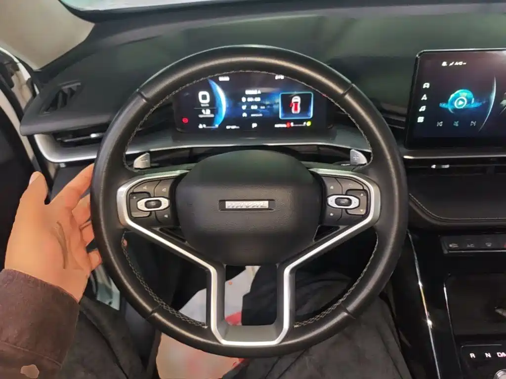 Haval H6 — миниатюра 7