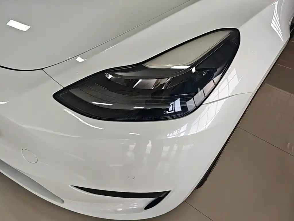 Tesla Model Y — миниатюра 24