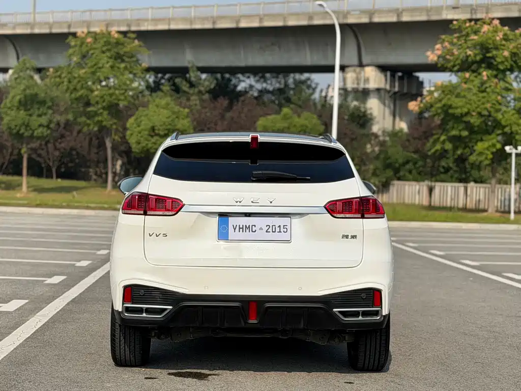 Wey Wey VV5 — миниатюра 19