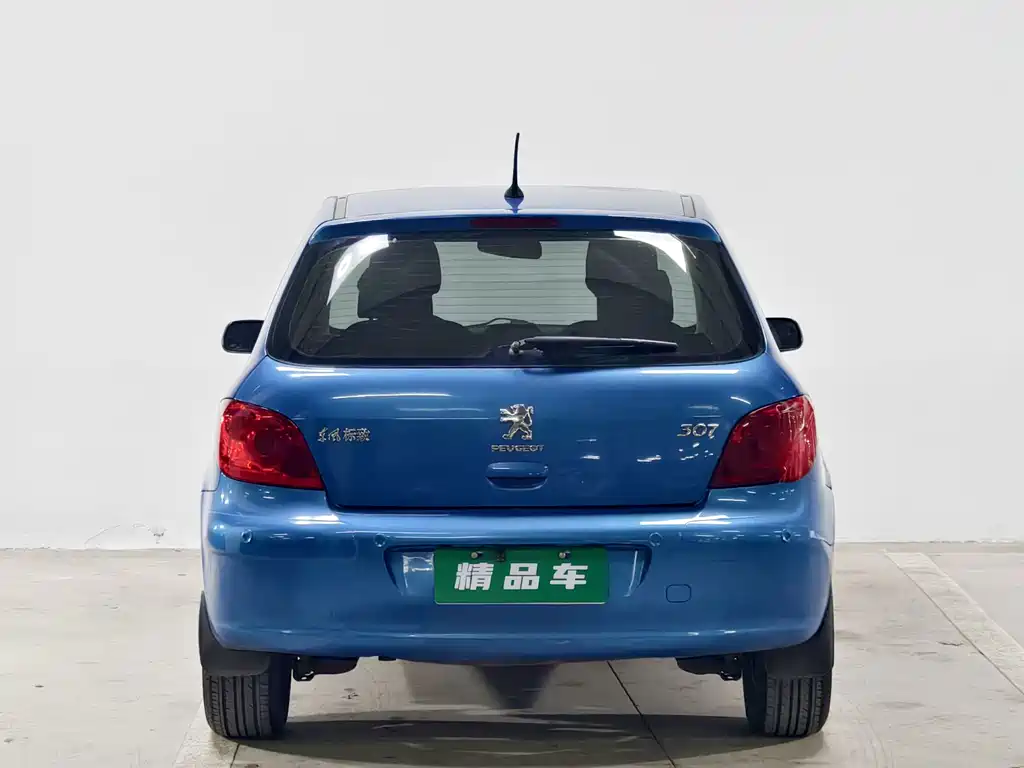 Peugeot 307 — миниатюра 5