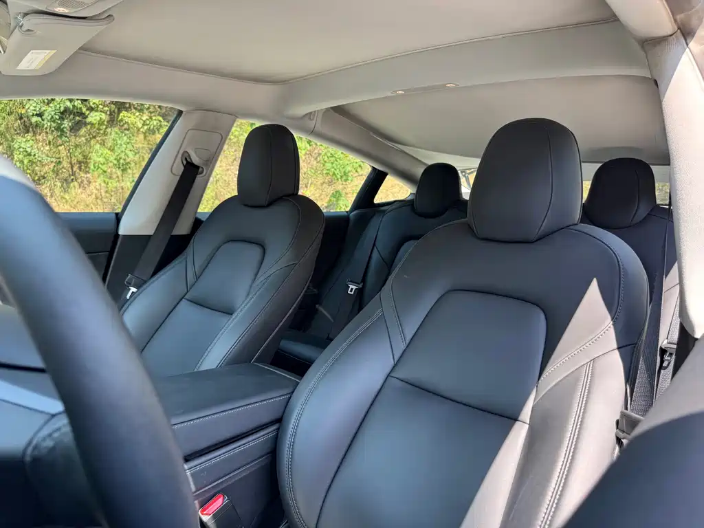 Tesla Model 3 — миниатюра 36