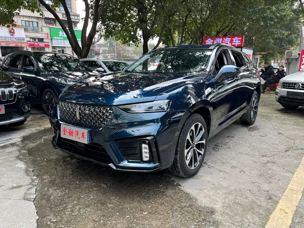 WEI PAI WEI BRAND VV7