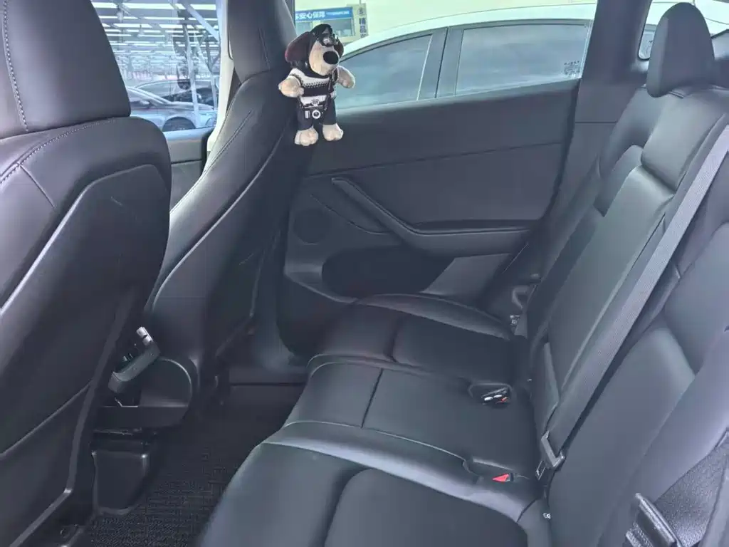 Tesla Model Y — миниатюра 6