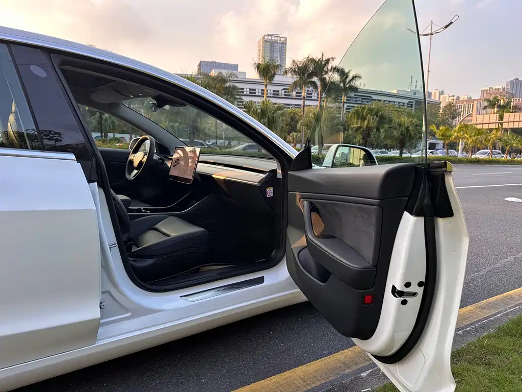 Tesla Model 3 — миниатюра 21