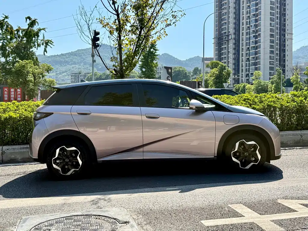 BYD Dolphin — миниатюра 7