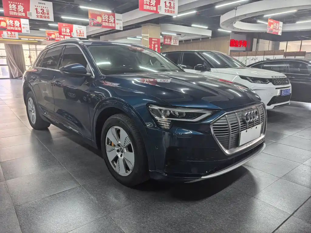 Audi e-tron (Import) — миниатюра 3