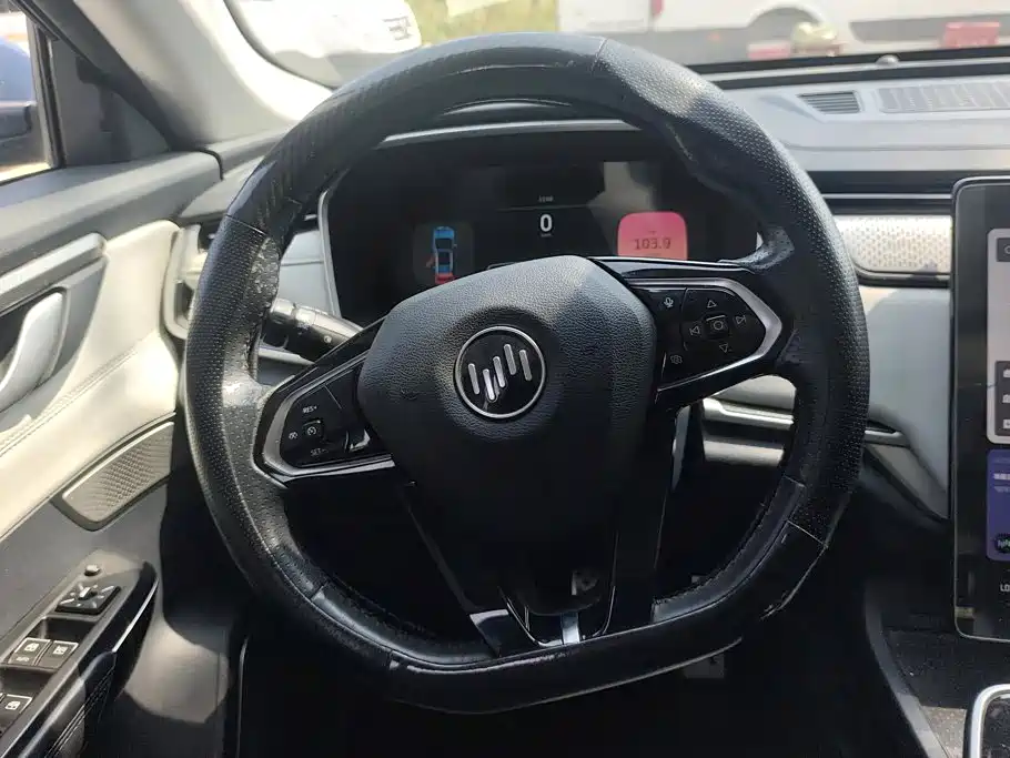 WM Motor EX5 — миниатюра 15
