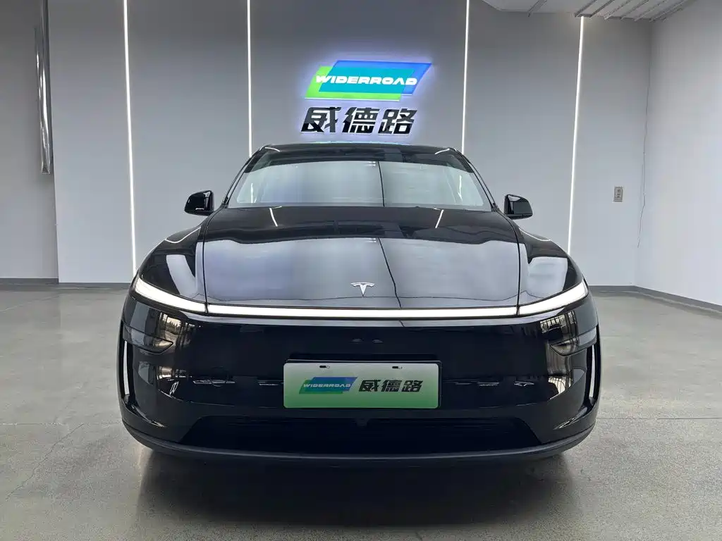 Tesla Model Y — миниатюра 2