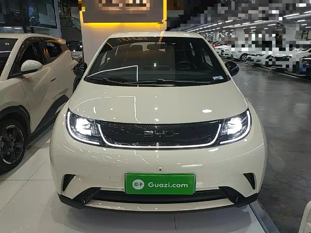 BYD Dolphin — миниатюра 3