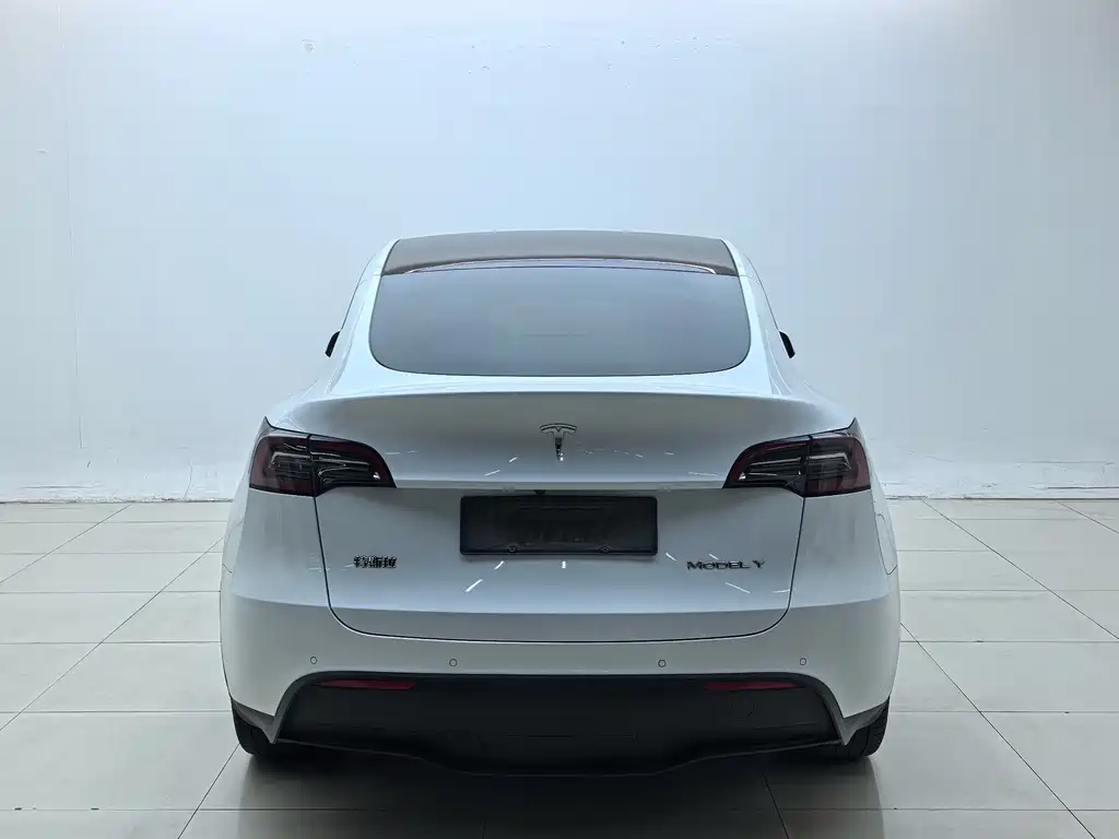 Tesla Model Y — миниатюра 10