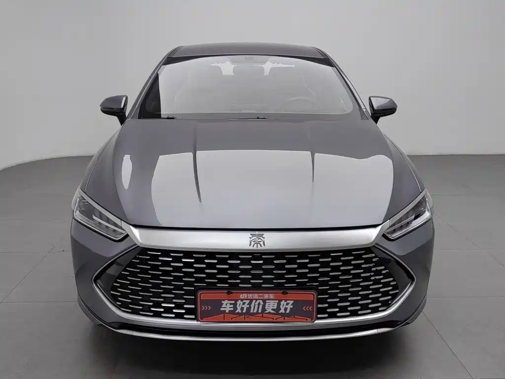 BYD Qin PLUS — миниатюра 3