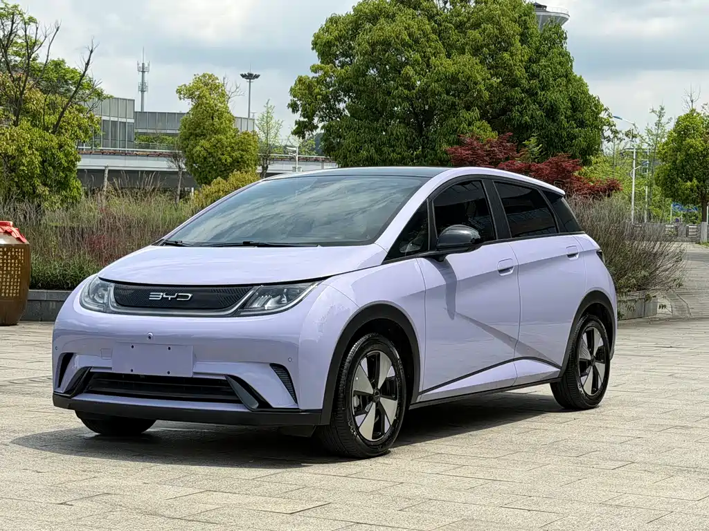 Byd Dolphin 2024