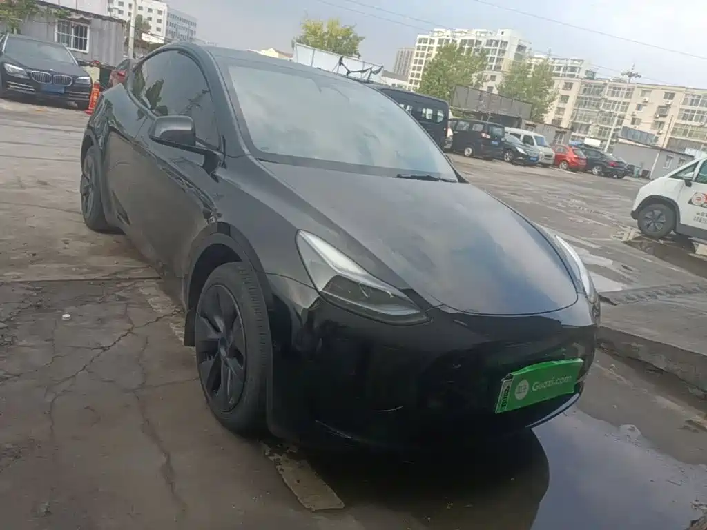 Tesla Model Y — миниатюра 3