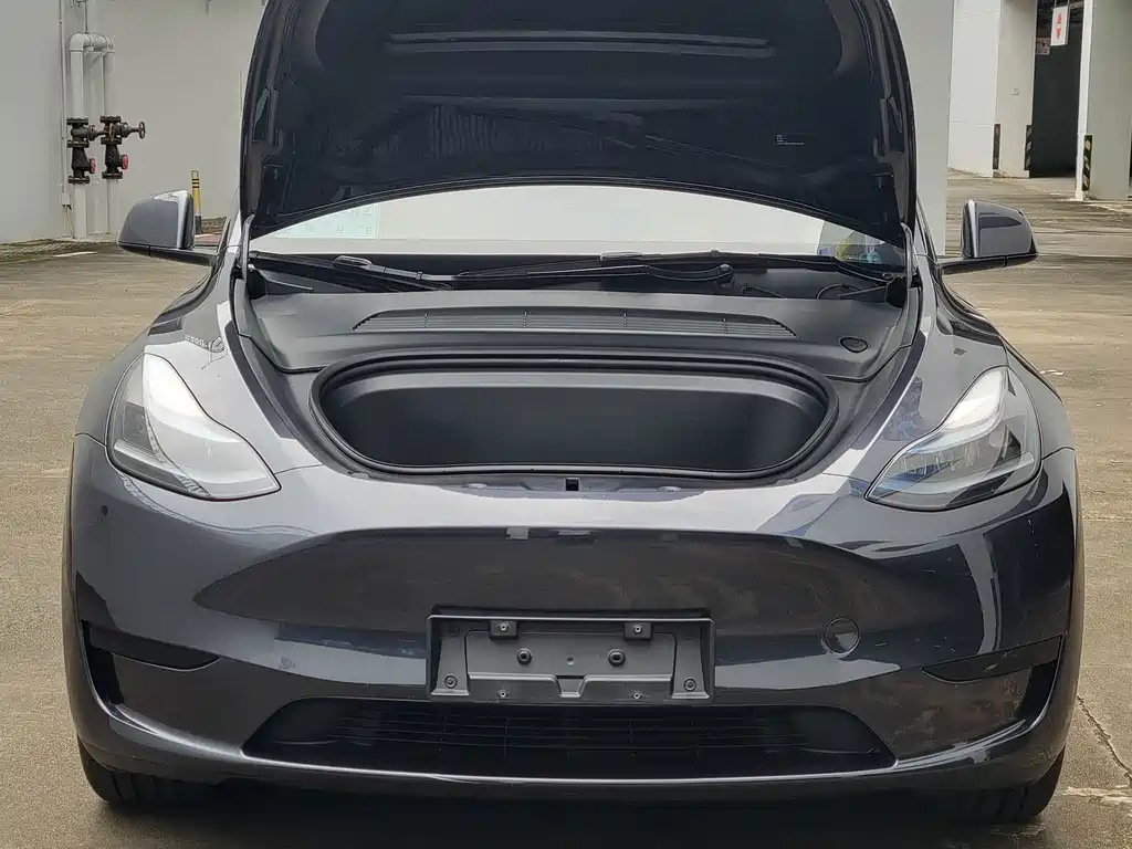 Tesla Model Y — миниатюра 5