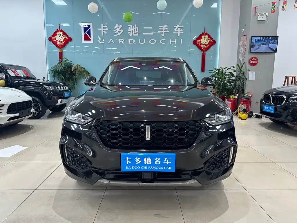 WEI PAI WEI BRAND VV6