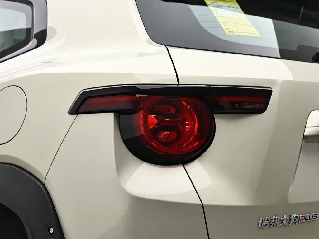 Haval Big Dog PLUS New Energy — миниатюра 7