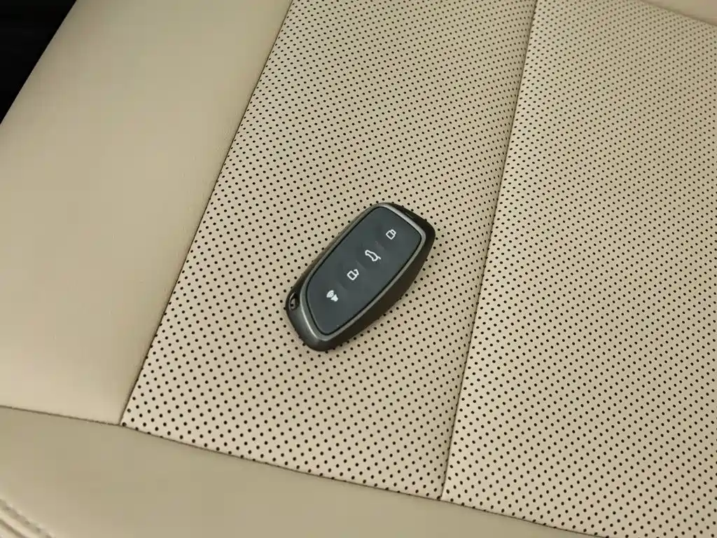 Haval Big Dog PLUS New Energy — миниатюра 13