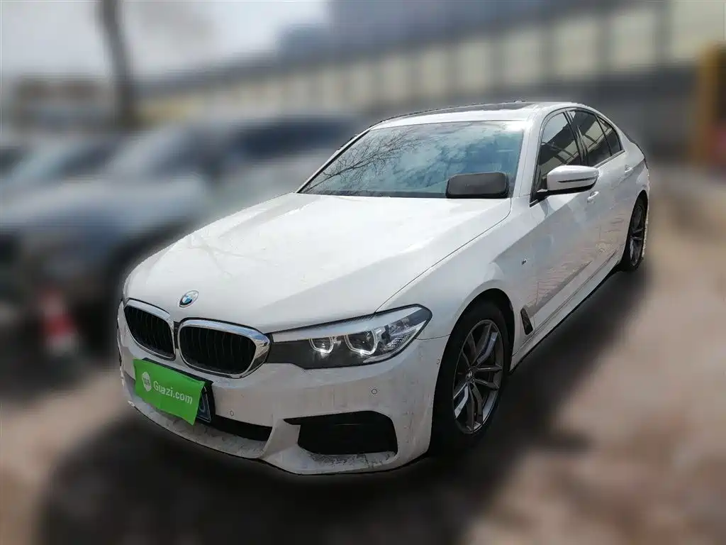 BMW 5 Series (Import) 2019