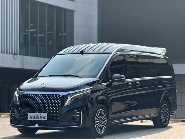 MERCEDES-BENZ V CLASS