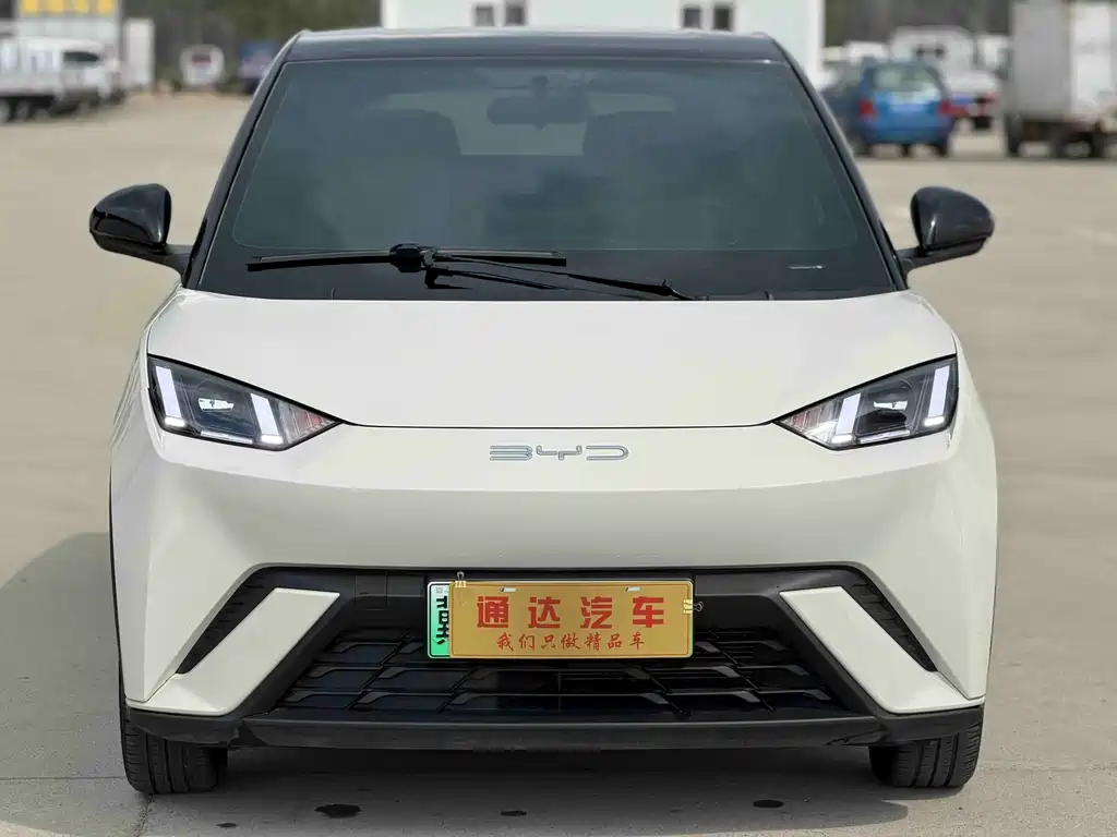 Byd Seagull 2023