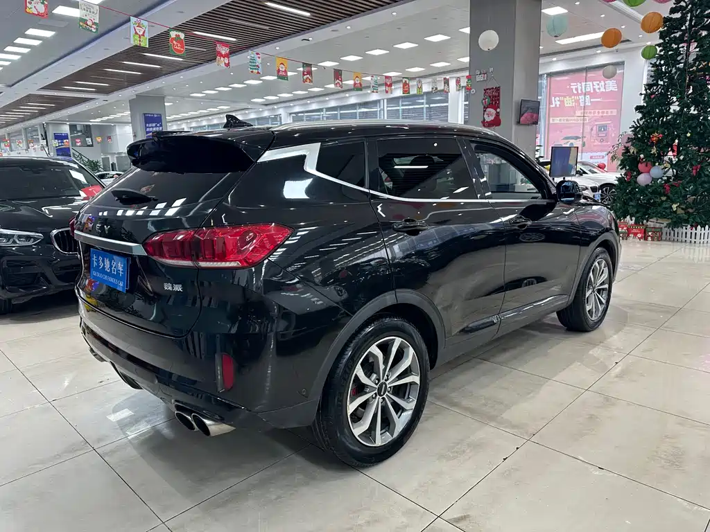 WEI PAI WEI BRAND VV6