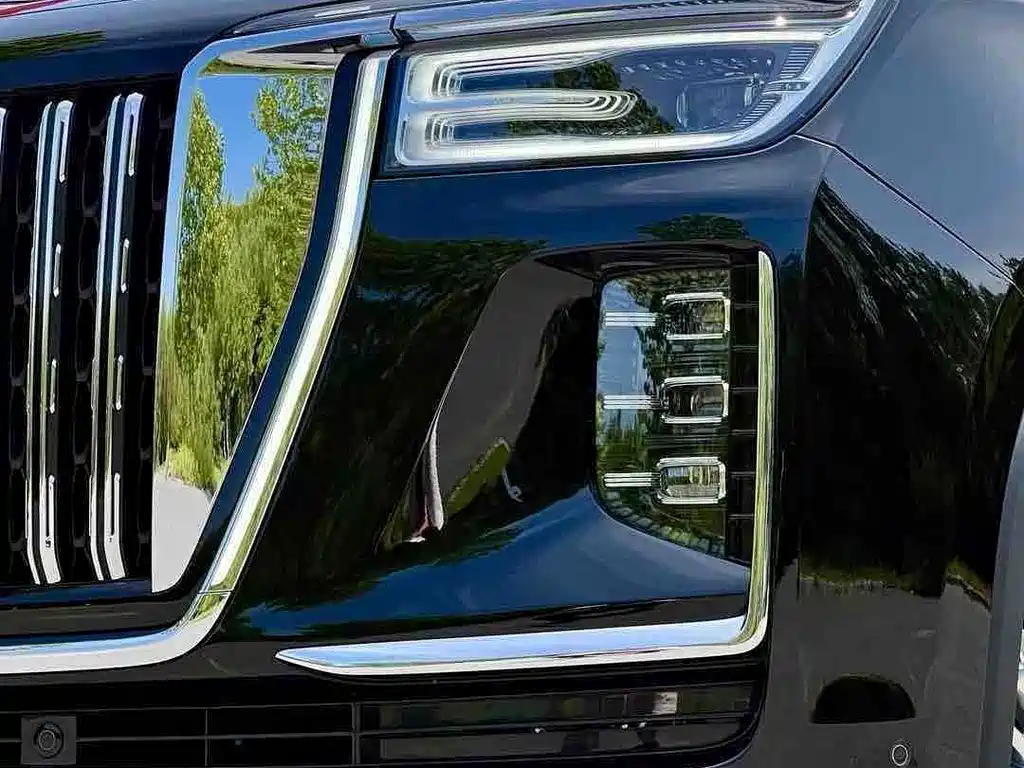 Hongqi Hongqi Golden Sunflower Guoyao — миниатюра 4
