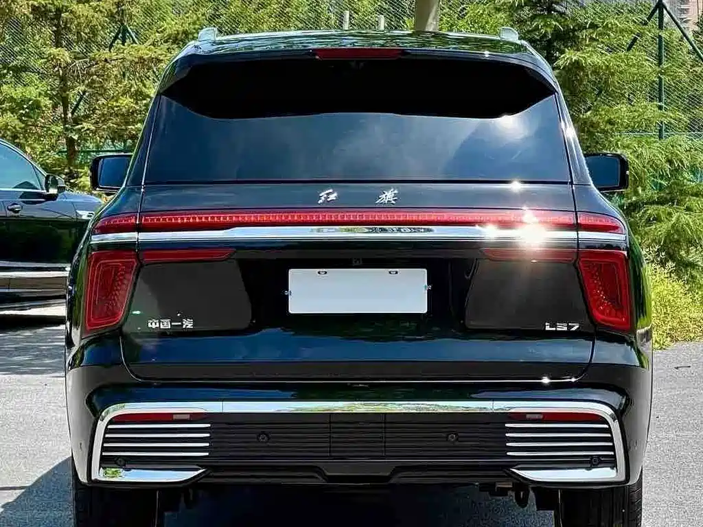 Hongqi Hongqi Golden Sunflower Guoyao — миниатюра 3