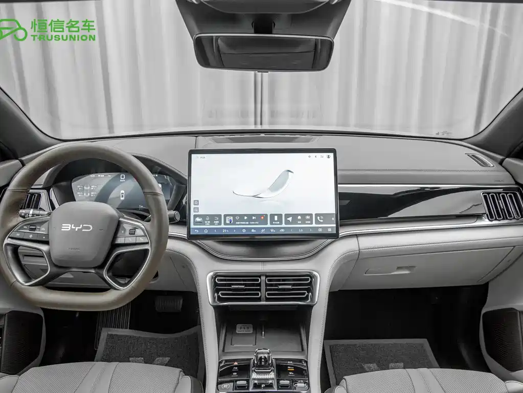 BYD PLUS New Energy — миниатюра 12