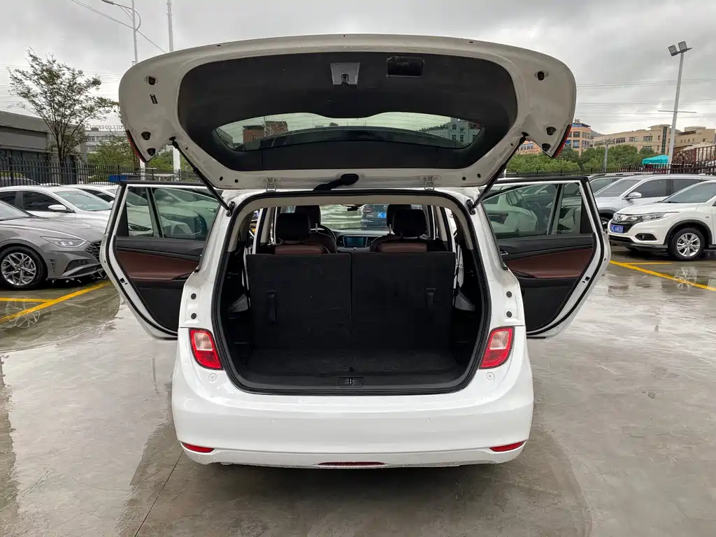 Buick GL6 — миниатюра 8