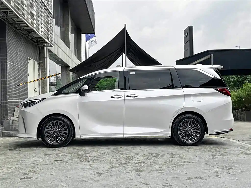 Lexus LM 2025 500h мест