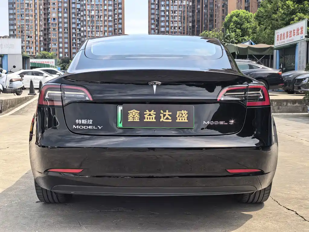 Tesla Model 3 — миниатюра 6