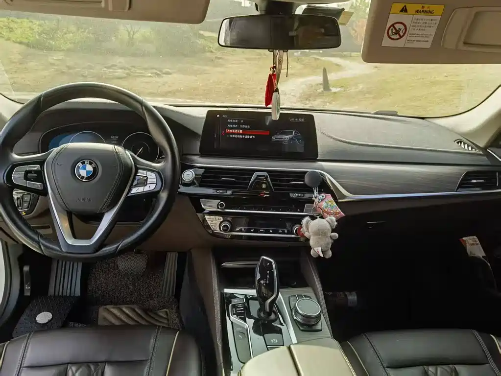 BMW 5 SERIES NEW ENERGY