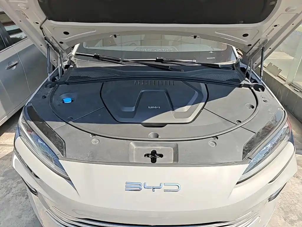 BYD PLUS New Energy — миниатюра 16
