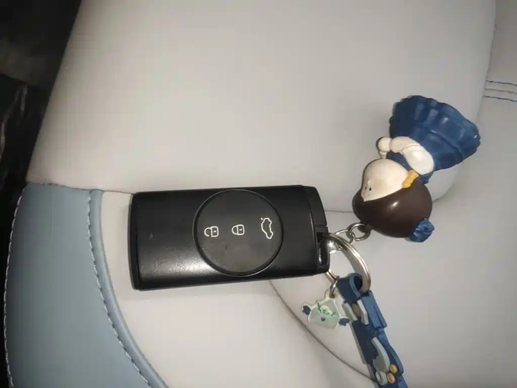 Chery Tiggo 3x — миниатюра 9