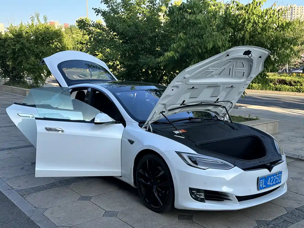 TESLA MODEL S