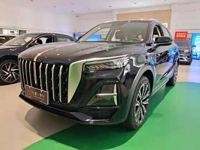 2024 Hongqi HS5