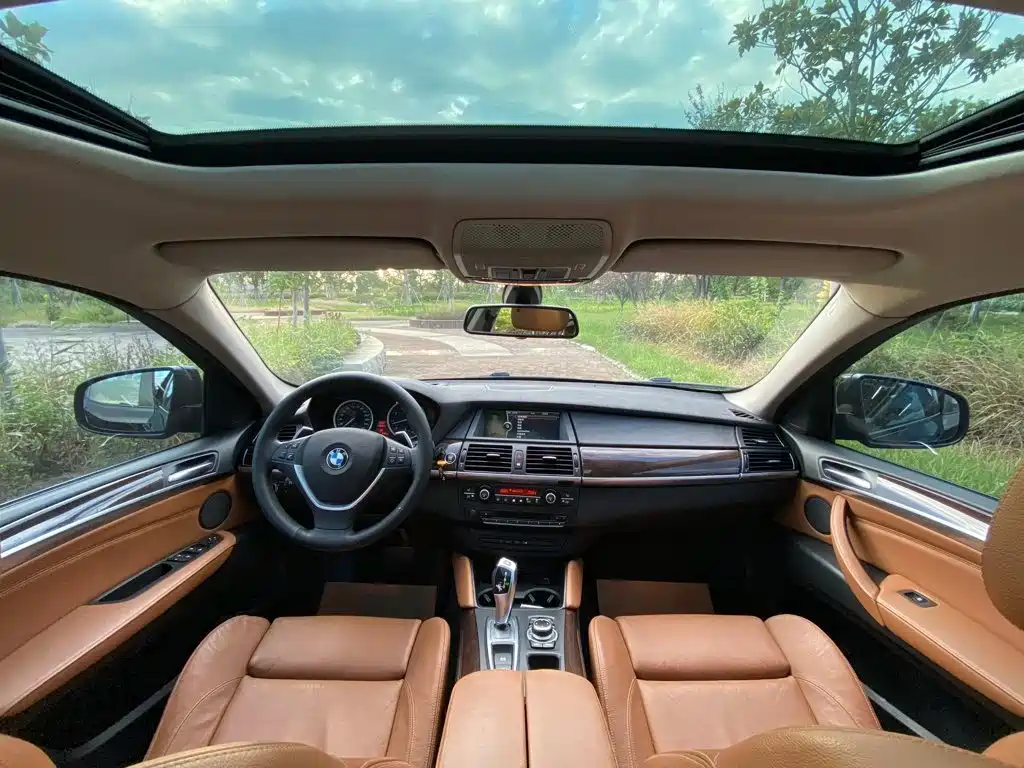 BMW X6 — миниатюра 9